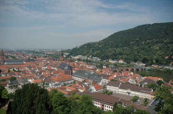 DSC_1152