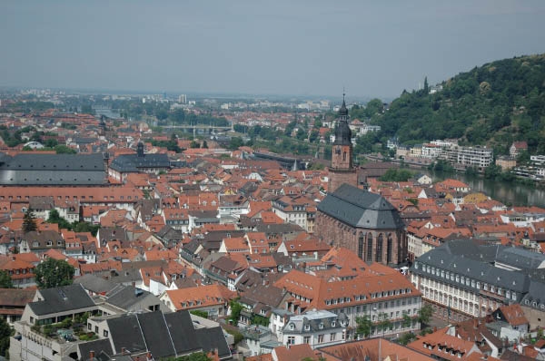 DSC_1155