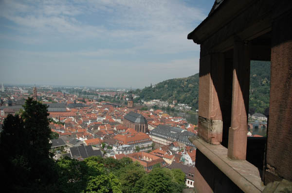 DSC_1156