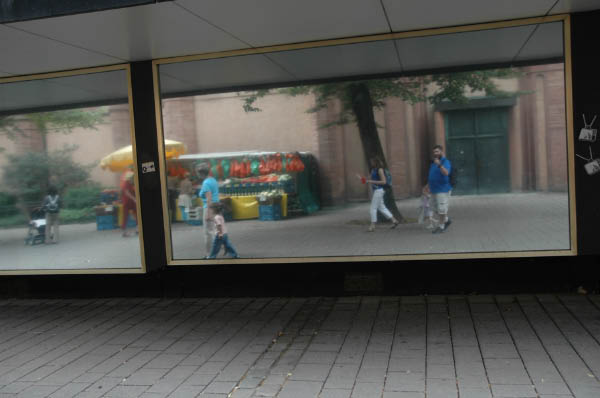 DSC_1350