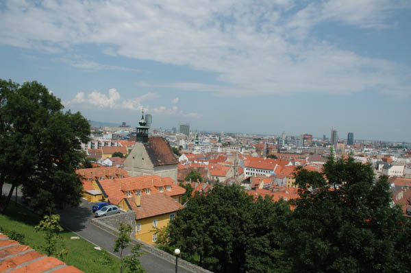 DSC_2231