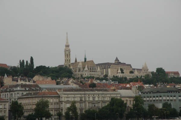 DSC_2302