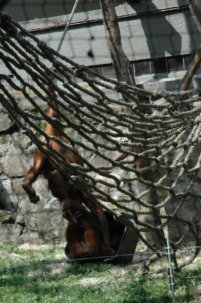 DSC_2664