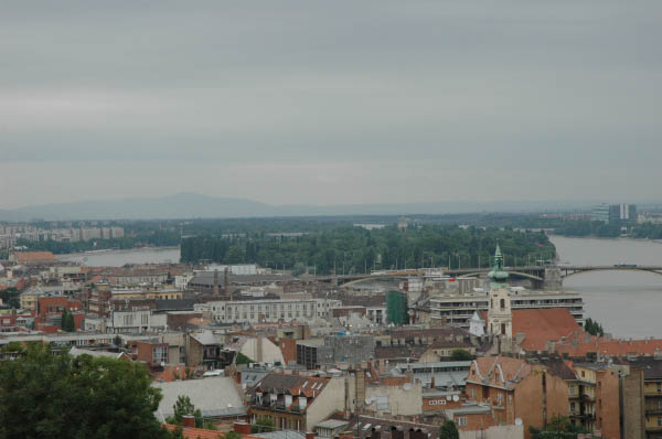 DSC_2878