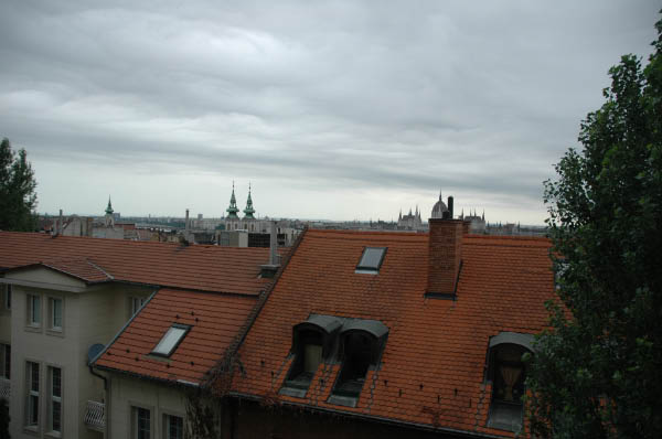 DSC_3262